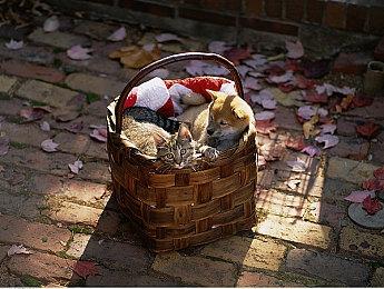 国产游戏《暗影火炬城》Steam版发售日曝光 10月来临