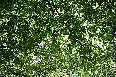 Steam搜索功能升级 可以搜索游戏开发商了